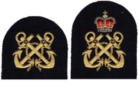 Picture of Adult Arm Badges of Rank