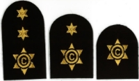 Picture of Catering (Gold Badges)