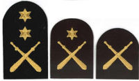 Picture of Physical Training (Gold Badges)