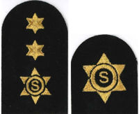 Picture of Catering Stewarding Gold Badges
