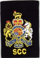 Picture of (Serial 219) WO1 SCC Rank Slide (Pair)